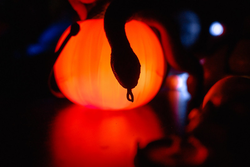 Украшение дома паутиной и летучими мышами к Хэллоуину в Taganrog